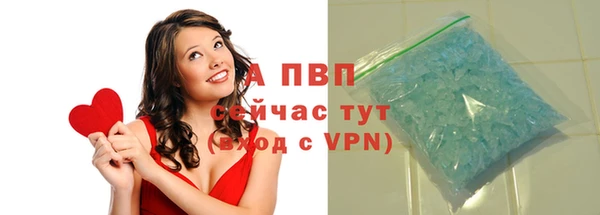 ГАЛЛЮЦИНОГЕННЫЕ ГРИБЫ Белоозёрский