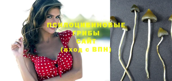 ГАЛЛЮЦИНОГЕННЫЕ ГРИБЫ Белоозёрский