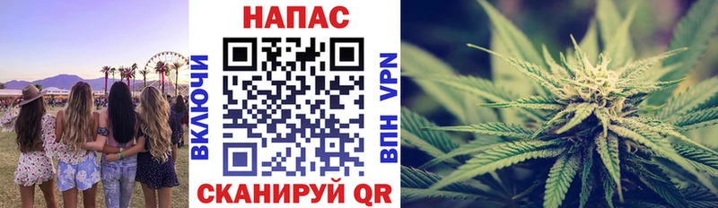 Марихуана SATIVA & INDICA  магазин продажи наркотиков  Купино 